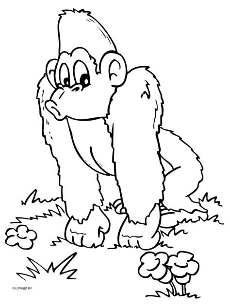 monkey coloring pages coloringpagescom