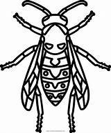 Wasp Coloringhome Source sketch template