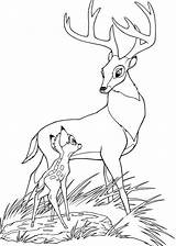 Bambi Coloring Pages Para Colorear Print Malvorlagen sketch template