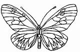 Papillon Printable Rainforest Mariposas Getcolorings Colorier Crayola sketch template