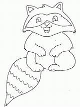 Coloring Raccoon Baby Laugh Netart Printable Library Print Color Popular sketch template