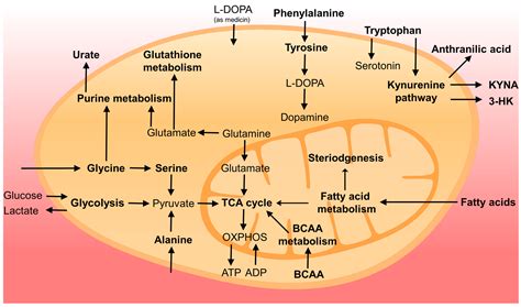 metabolites  full text biomarker research  parkinsons