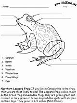 Frog Frogs Labeling Leopard Activity Sheet Kidzone sketch template