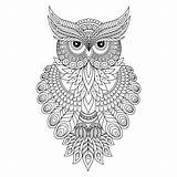 Owl Coloring Vector Pages Istockphoto Ornamental Decorative Canvas Illustrations Illustration Outline Drawing Printable Adult Choose Board источник статьи Clip sketch template