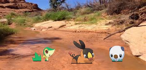 gen 5 starter pokemon sinking in quicksand by noname0322