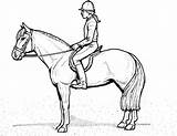 Coloring Pages Pferde Ausmalbilder Dressage Mit Reiterin Horse Zum Pferd Ausmalbild Ausdrucken Kostenlos Rider Saddle English sketch template