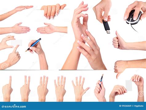 hand gestures set isolated royalty  stock images image