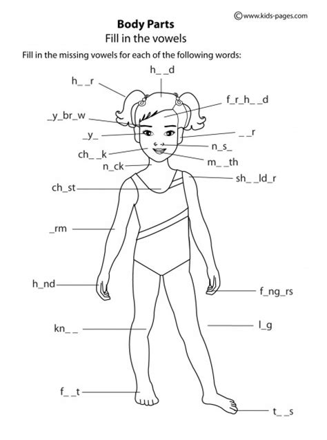 images  atlas   parts worksheet fetal pig heart diagram