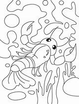 Coloring Lobster Pages Finding Way Its sketch template