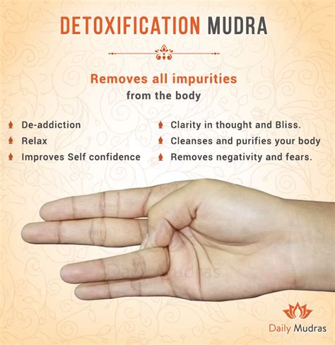 yoga mudras image by daily mudras mudras