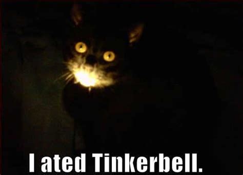 I Ate Tinkerbell Picture Ebaum S World