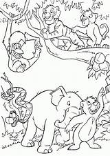 Coloring Safari Pages Animals African Popular sketch template