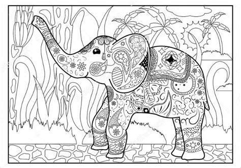 jungle coloring pages  png