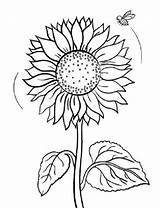 Bunga Matahari Kartun Dicari Berwarna Mewarnai sketch template