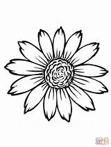 Sunflower Sunflowers Drawing Coloring Pages Simple Flower Template Printable Head Color Van Sketch Gogh Para Girasoles Dibujo Flowers Sheets Clipart sketch template