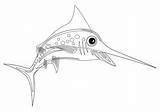 Pez Espada Colorear Swordfish Coloring sketch template