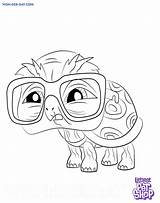 Littlest Coloriage Lps sketch template