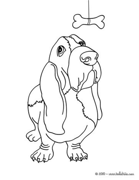 basset dog coloring pages hellokidscom