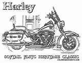 Harley Davidson Coloring Pages Motorcycles Print Adult Color Softail Logo Motorcycle Adults Skulls Colouring Kids Choose Board Stencils Books Ivy sketch template