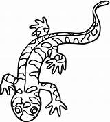 Salamander Salamandra Tigre Salamandras Niños Anfibi Vbs Quest Stampare Disegnare Tattoos Colorearya sketch template
