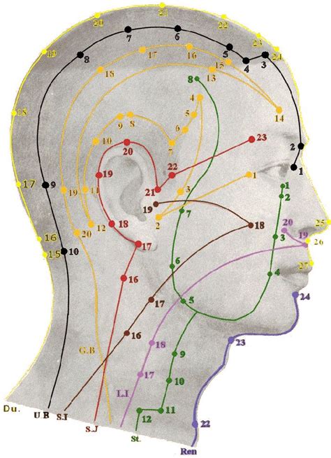 images  acupressure  pinterest pressure points