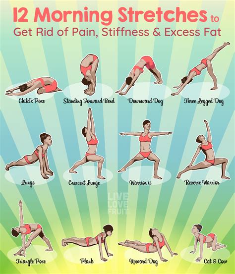 pin  yoga weightlifting exercise