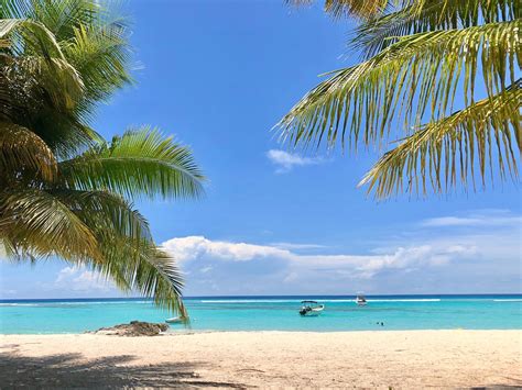 33 Fun Facts About Barbados Next Stop Barbados