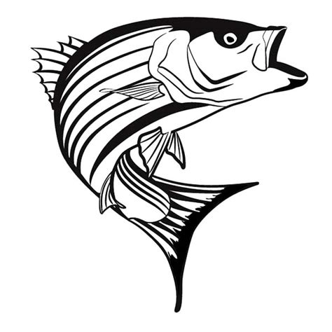 striper bass fish coloring pages  place  color