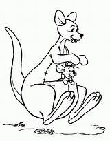 Coloring Kangaroo Pooh sketch template