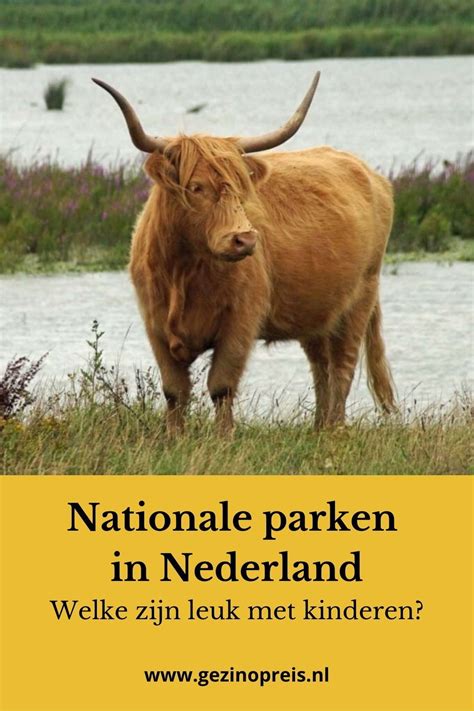 nederland telt  nationale parken met bossen heide strand en andere prachtige natuur maar