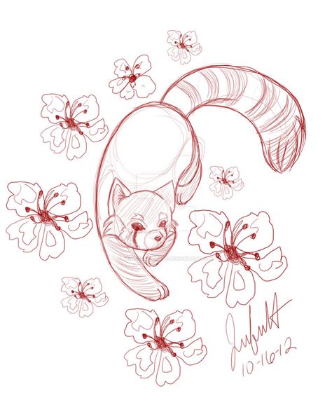 red panda sketch  jenniferkitty  deviantart