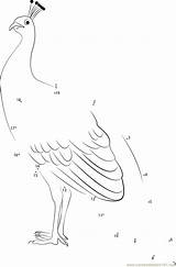 Peacock Worksheet Dot Female Dots Connect Peafowl sketch template