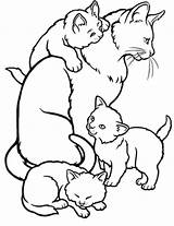 Coloring Cat Kittens Pages Mother Kitten Kids Drawing Clipart Family Colouring Printable Mommy Animal Color Sheets Cats Realistic Print Clip sketch template