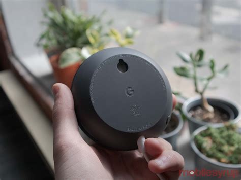 googles  nest mini sounds     wall