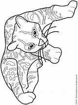 Ocelot Coloring Pages Minecraft Getcolorings Colouring Getdrawings sketch template
