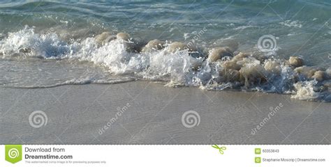 wave coming  shore  sandy beach stock image image  footprints