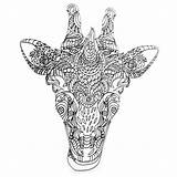 Coloring Giraffe Pages Adult Adults Zentangle Colouring Printable Print Nature Colors Getcolorings Everfreecoloring sketch template