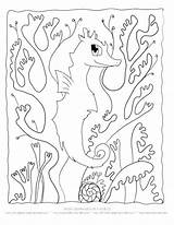 Coloring Pages Camouflage Printable Getcolorings Getdrawings Colorings sketch template