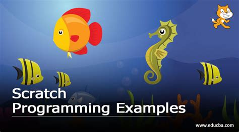 important  scratch programming examples exercises beginners