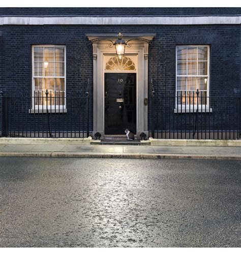 downing street  larry downing street cat larry  stay  theresa