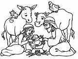 Nativity Coloring Pages Jesus Christmas Printable Scene Manger Kids Print Choose Board Angel Crèche sketch template