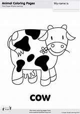 Cow Coloring Pages Simple Animals Farm Animal Worksheets Super Printables Kindergarten Flashcards Easy Flashcard Songs Learning Choose Board sketch template