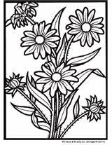 Coloring Printables Eyed Susan Flowers Flower Printable Pages Familyeducation Adult sketch template