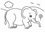 Elephant Coloring Pages Printable Sheets Colouring Cute Drawing Kids Visit Animal Easy Baby sketch template