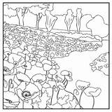 Coloring Meadow Pages Oak Poppies English Garden sketch template