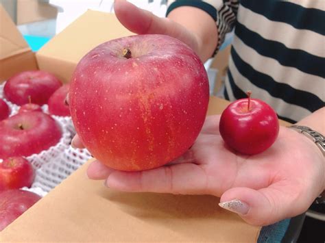 big apple small apple