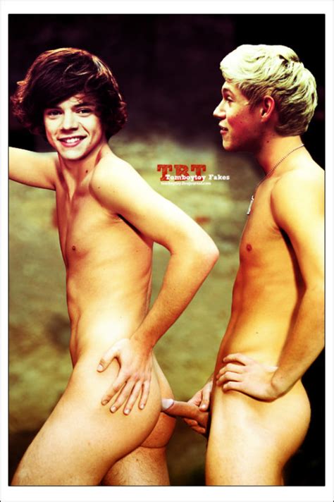 Fake One Direction Harry Styles And Niall Horan Tumbex