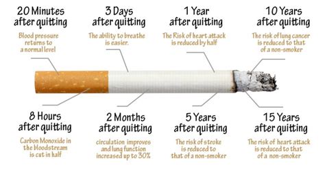Here Is What Happens The Moment You Stop Smoking The Healthy Lifestyle
