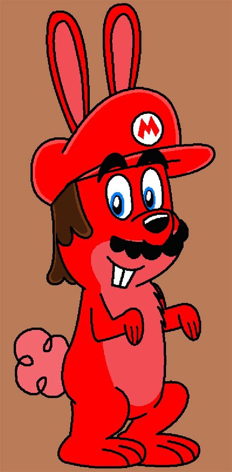 mario rabbit  princesspuccadominyo  deviantart