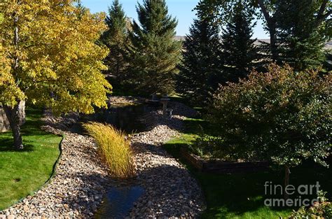 Backyard Beauty 3 Photograph By James Stewart